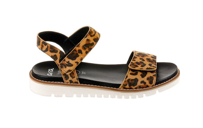 Ara Draco Leopard - Crispins Shoes