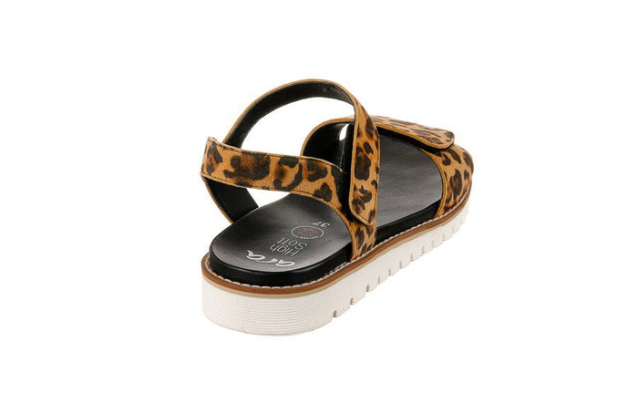 Ara Draco Leopard - Crispins Shoes