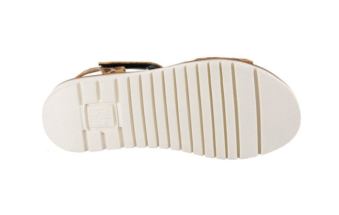 Ara Draco Leopard - Crispins Shoes