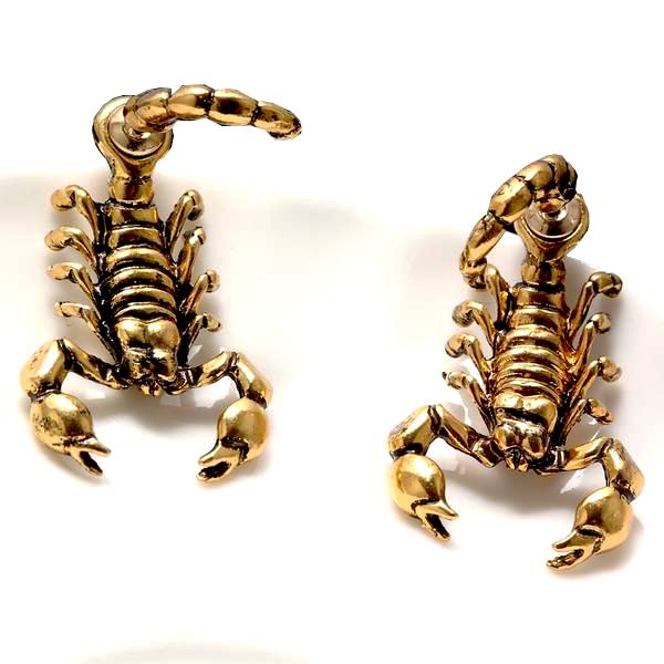 Bizarre Scorpion Stud Earrings
