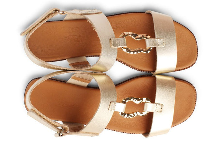 CH SAILOR - Crispins Shoes