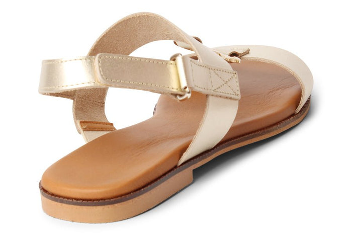 CH SAILOR - Crispins Shoes