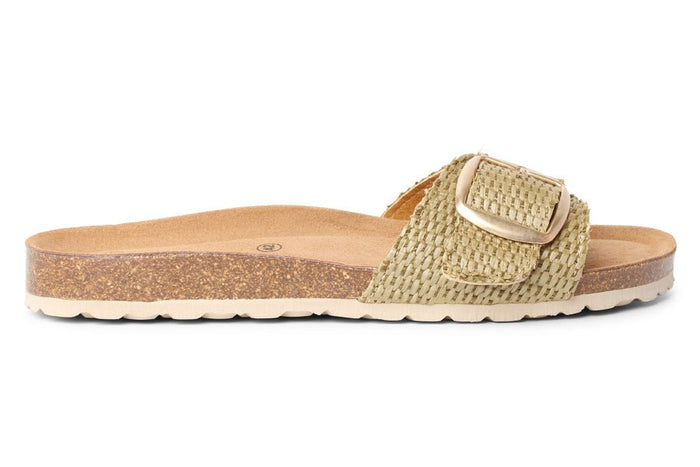 CH SWIM GREEN - Crispins Shoes
