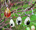 Cool Real Insect Keychain