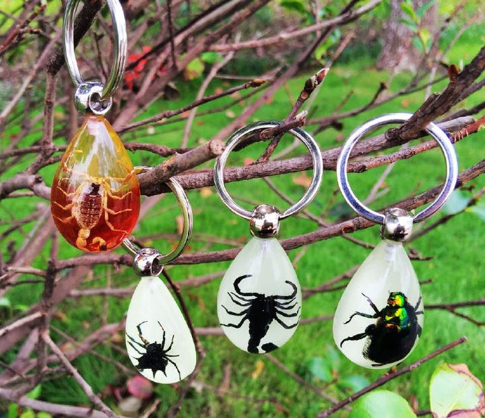 Cool Real Insect Keychain
