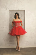Fiesta 53228
