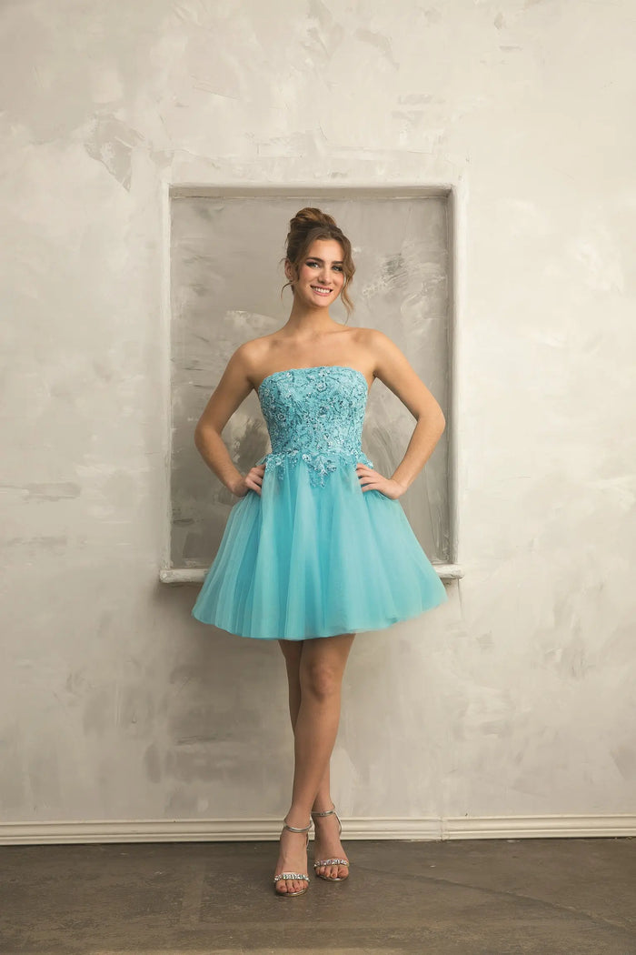 Fiesta 67331