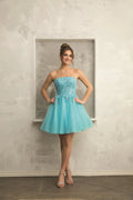 Fiesta 67331