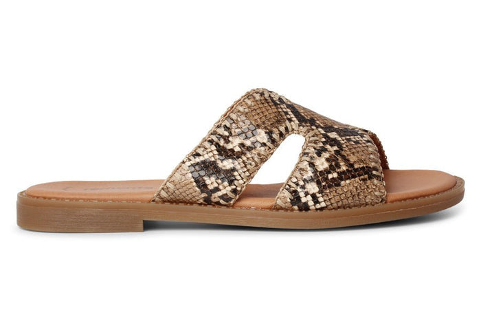 REM STITCH SNAKE - Crispins Shoes