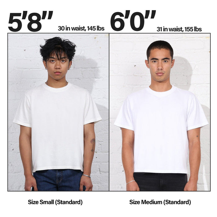Silverlake Crop Tee II T-Shirt Classic Black