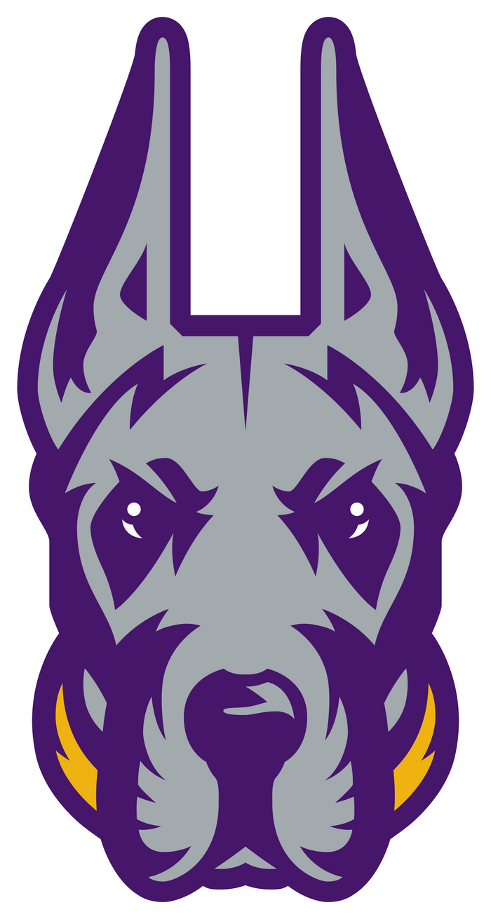 U ALBANY CHEER JACKET w/logo