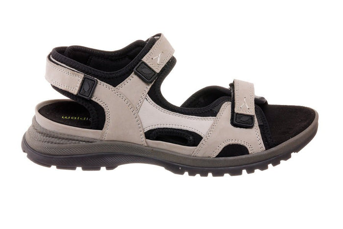 Wal Evelin Grey - Crispins Shoes