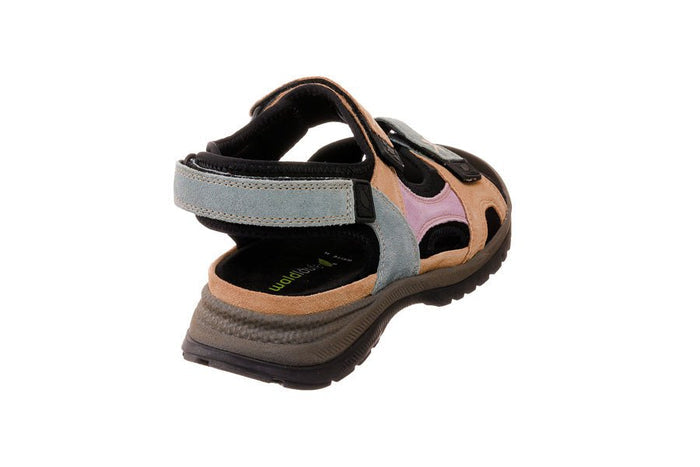 Wal Evelin Multi - Crispins Shoes