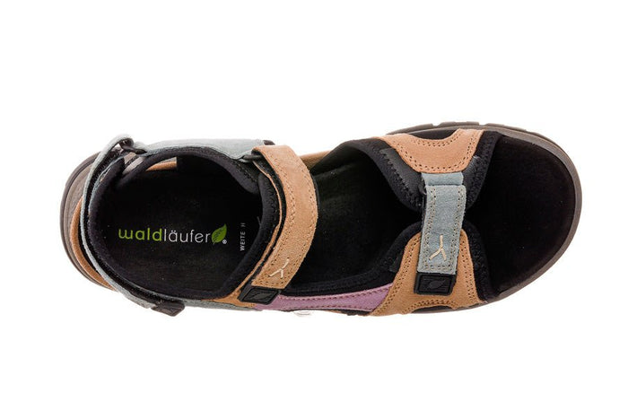 Wal Evelin Multi - Crispins Shoes