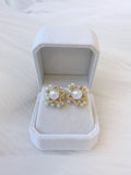 Wish 2-Style Earrings