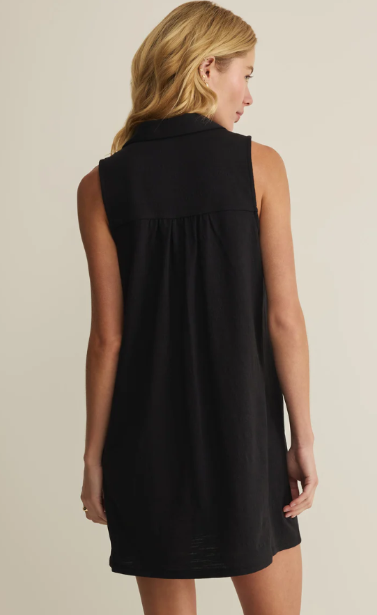 Z Supply New Light Textured Mini Dress