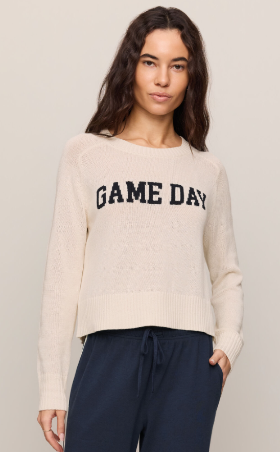 Z Supply Varsity Sand In Sweater