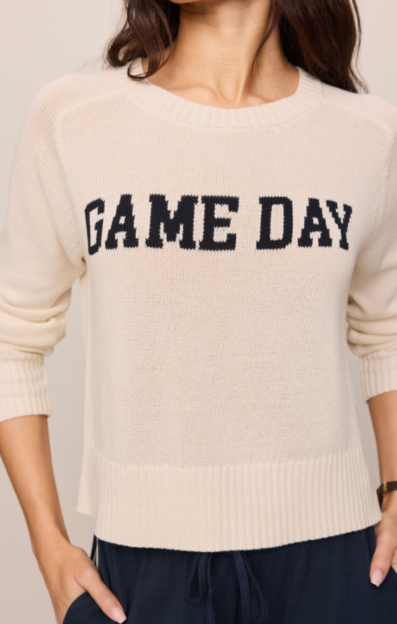 Z Supply Varsity Sand In Sweater